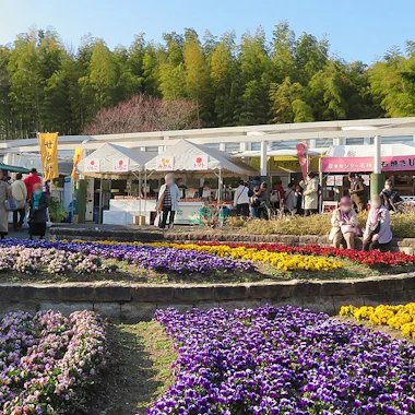 🌸 나고야시 농업센터 델라팜(나고야시 노교센타 데라화무) 이미지 13